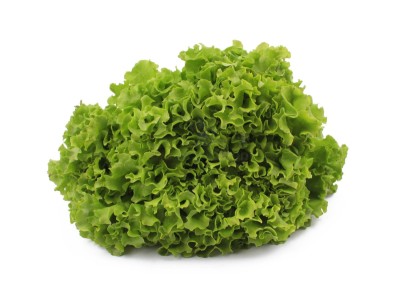 Салат айсберг 300 г - купить в Сунеевке